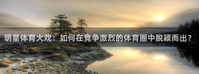 明星体育大戏：如何在竞争激烈的体育圈中脱颖而出？