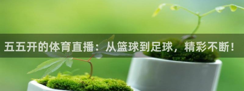 五五开的体育直播：从篮球到足球，精彩不断！