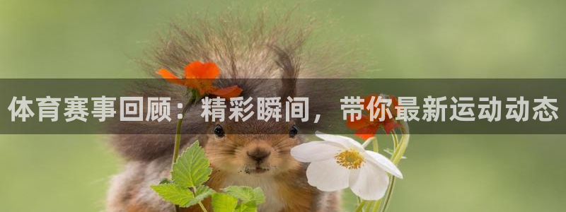 体育赛事回顾：精彩瞬间，带你最新运动动态