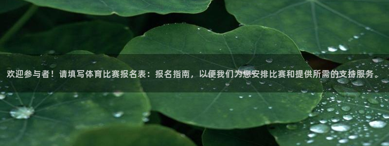 欢迎参与者！请填写体育比赛报名表：报名指南，以便我们为您安排比赛和提供所需的支持服务。
