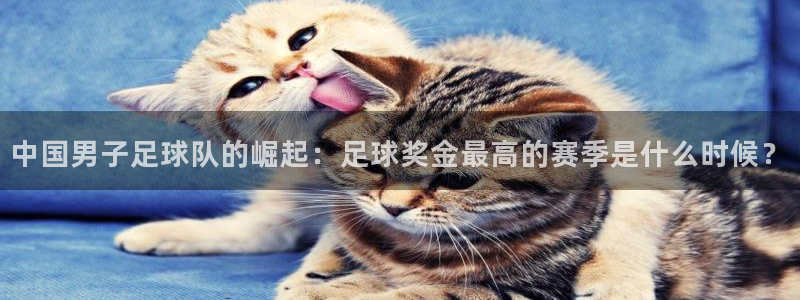 中国男子足球队的崛起：足球奖金最高的赛季是什么时候？