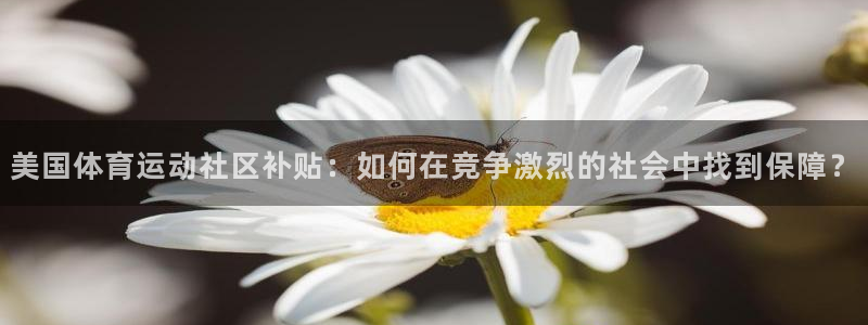 美国体育运动社区补贴：如何在竞争激烈的社会中找到保障？