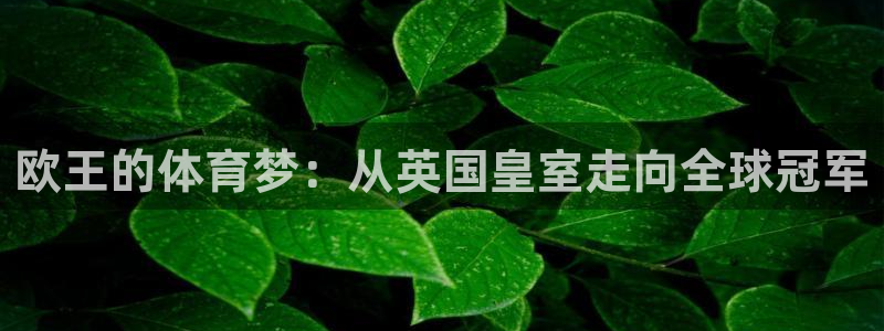 欧王的体育梦：从英国皇室走向全球冠军