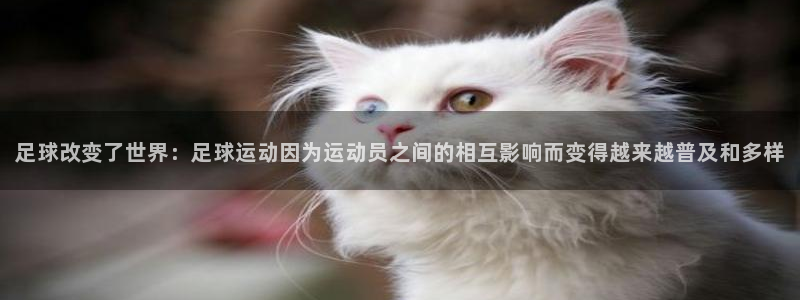 足球改变了世界：足球运动因为运动员之间的相互影响而变得越来越普及和多样