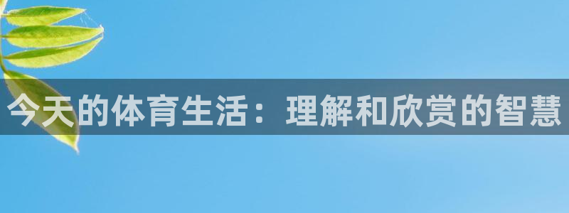 今天的体育生活：理解和欣赏的智慧