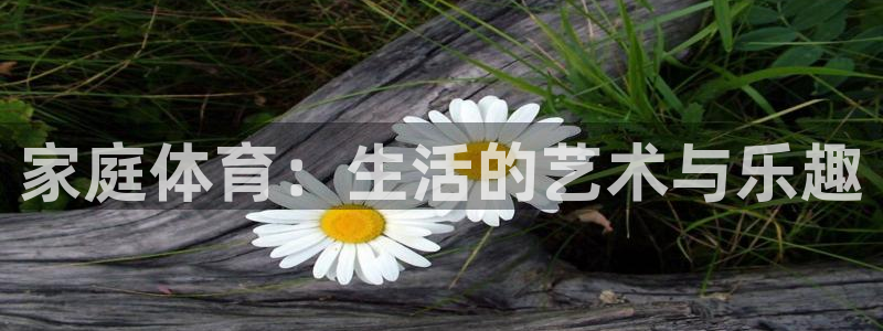 家庭体育：生活的艺术与乐趣