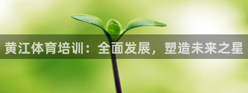 黄江体育培训：全面发展，塑造未来之星