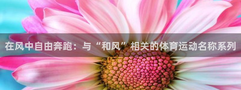 在风中自由奔跑：与“和风”相关的体育运动名称系列