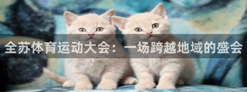 全苏体育运动大会：一场跨越地域的盛会