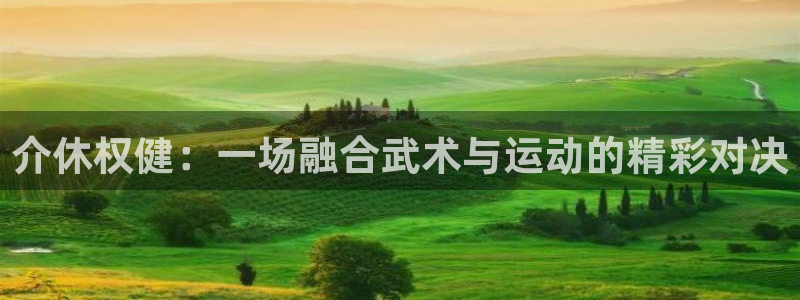 介休权健：一场融合武术与运动的精彩对决