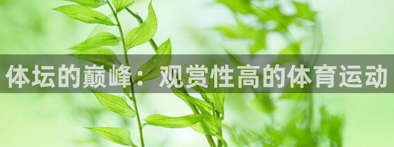 体坛的巅峰：观赏性高的体育运动
