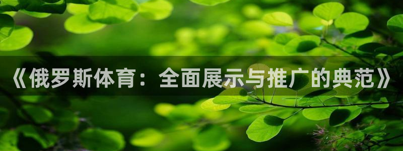 《俄罗斯体育：全面展示与推广的典范》