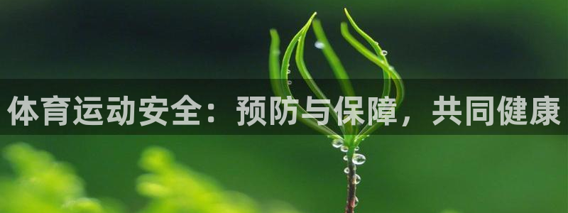 体育运动安全：预防与保障，共同健康