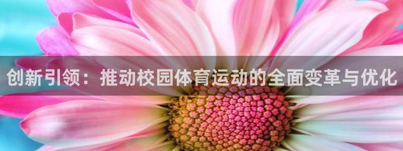 创新引领：推动校园体育运动的全面变革与优化