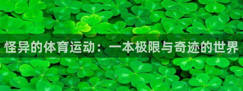 怪异的体育运动：一本极限与奇迹的世界