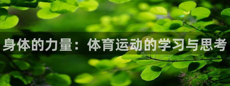 身体的力量：体育运动的学习与思考