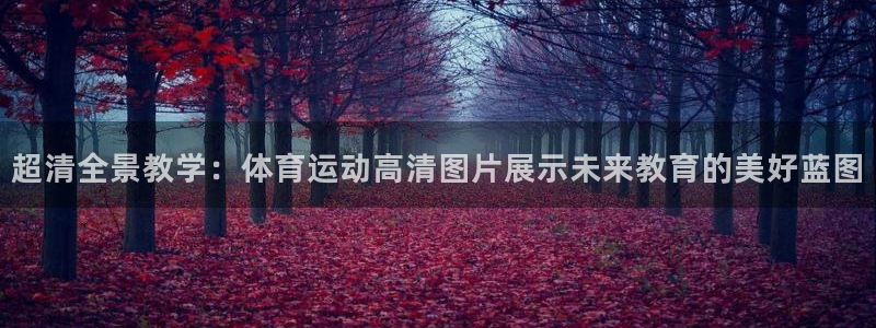 超清全景教学：体育运动高清图片展示未来教育的美好蓝图