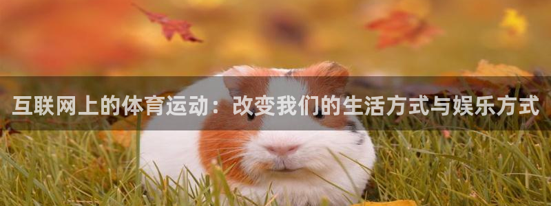 互联网上的体育运动：改变我们的生活方式与娱乐方式