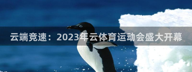 云端竞速：2023年云体育运动会盛大开幕