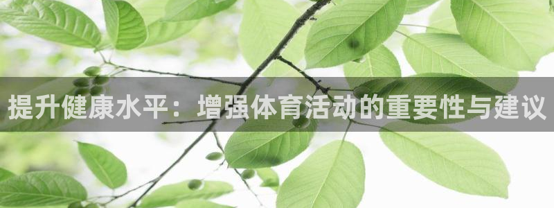 提升健康水平：增强体育活动的重要性与建议