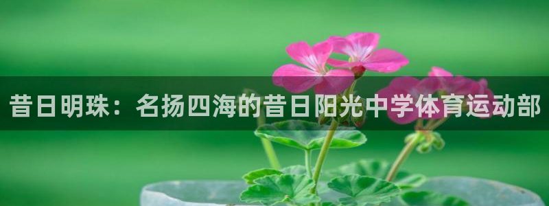 昔日明珠：名扬四海的昔日阳光中学体育运动部