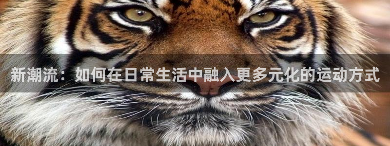 新潮流：如何在日常生活中融入更多元化的运动方式