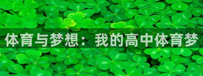 体育与梦想：我的高中体育梦