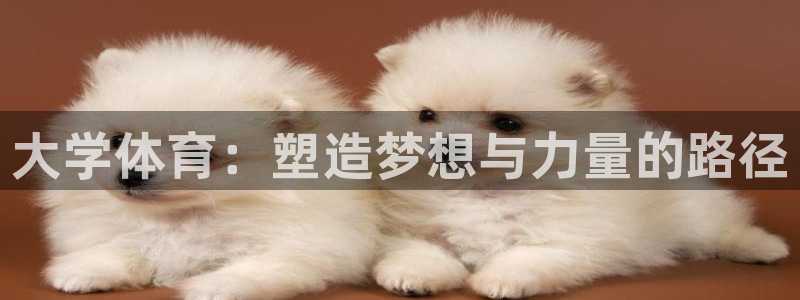 大学体育：塑造梦想与力量的路径