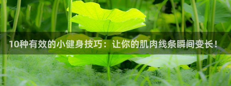 10种有效的小健身技巧：让你的肌肉线条瞬间变长！