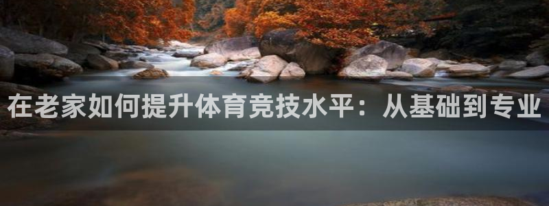 在老家如何提升体育竞技水平：从基础到专业