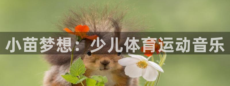 小苗梦想：少儿体育运动音乐