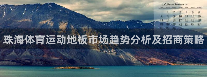 珠海体育运动地板市场趋势分析及招商策略