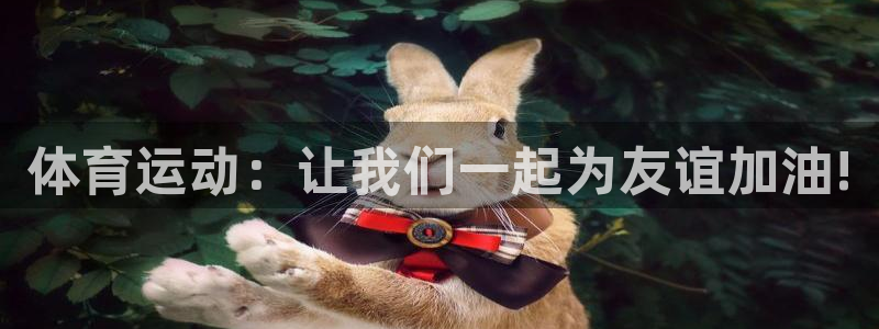 体育运动：让我们一起为友谊加油!